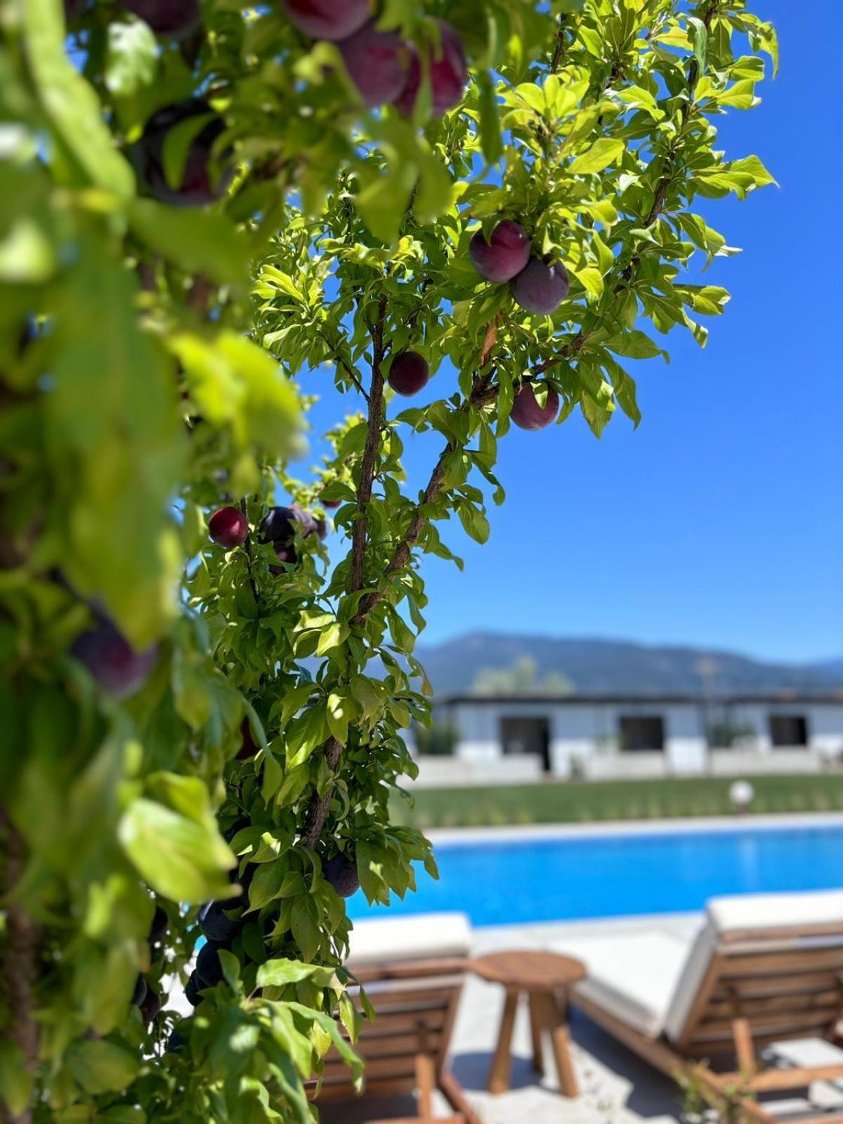 Casa Mora Aparthotel Edremit  Luaran gambar